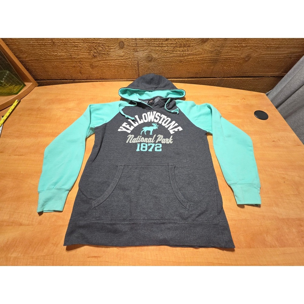 Prairie Mountain Yellowstone National Park Hoodie Gray Mint Green Womens Large